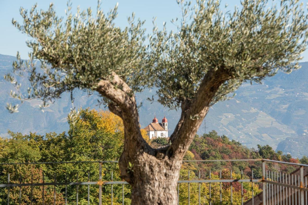 Apartamento Nofnerhof Appiano Sulla Strada Del Vino Exterior foto