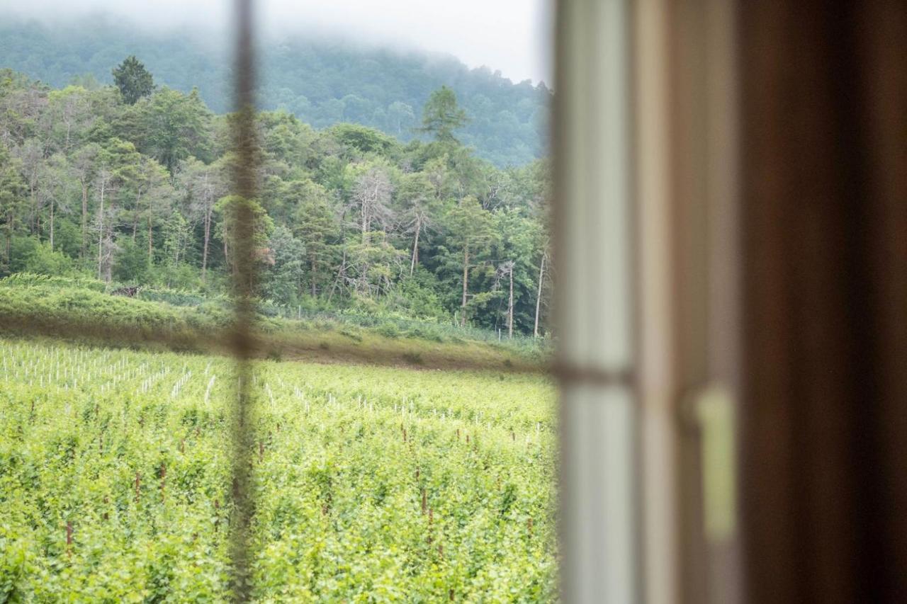 Apartamento Nofnerhof Appiano Sulla Strada Del Vino Exterior foto